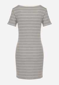 Born2be - Jasnoszara Bawełniana Sukienka w Paski o Dopasowanym Kroju Tiamirene. Okazja: na co dzień. Kolor: szary. Materiał: bawełna. Wzór: paski. Typ sukienki: proste. Styl: casual, klasyczny #7
