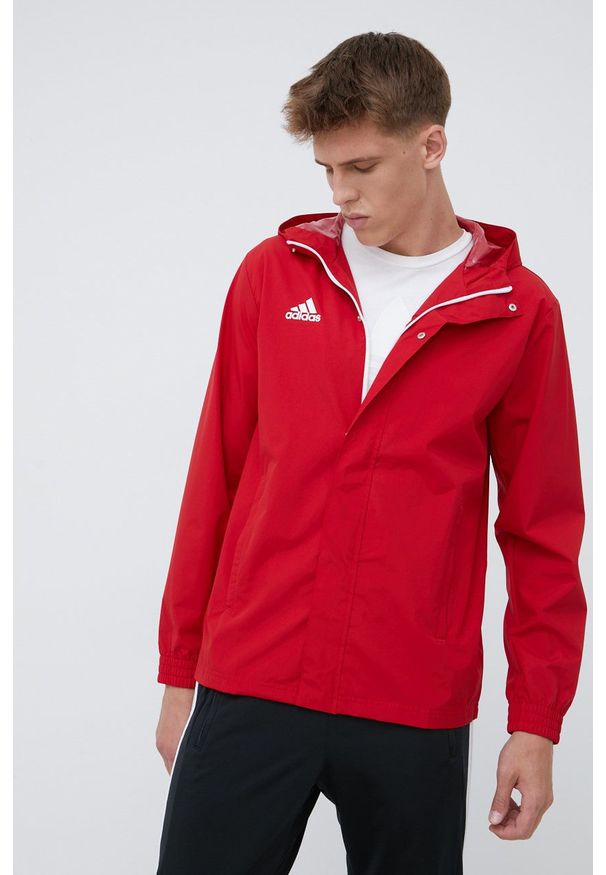 adidas Performance kurtka HG6299 męska kolor czerwony przejściowa. Kolor: czerwony. Materiał: materiał