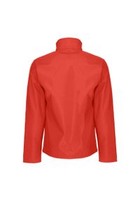 Regatta - Męski Softshell Octagon II. Kolor: czerwony, wielokolorowy, czarny. Materiał: softshell. Sport: turystyka piesza