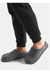 Beverly Hills Polo Club Kapcie P4194527 Szary. Kolor: szary. Materiał: materiał #2