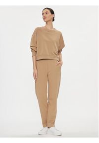 Marella Spodnie materiałowe Ufficio 2337861037200 Brązowy Regular Fit. Kolor: brązowy. Materiał: bawełna #5