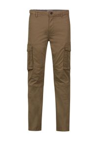 Petrol Industries Spodnie materiałowe M-1030-TRO581 Brązowy Regular Fit. Kolor: brązowy. Materiał: materiał #1