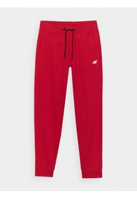 4f - Spodnie dresowe joggery męskie - czerwone. Kolor: czerwony. Materiał: dresówka. Wzór: ze splotem, gładki #1