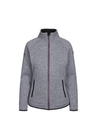 TRESPASS - Damska Bluza Polarowa Toddy AT200. Kolor: szary. Materiał: polar. Sezon: zima. Sport: turystyka piesza #1