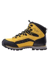 Elbrus - Męskie Buty Outdoor Ester Ag V Suede Mid Cut. Kolor: czarny, zielony, wielokolorowy. Sport: outdoor