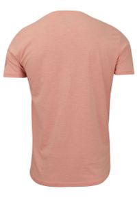 Męska, Różowa Koszulka (T-shirt) - Brave Soul - Hipis pod Palmą. Okazja: na co dzień. Kolor: różowy. Materiał: bawełna. Wzór: nadruk. Styl: casual #2