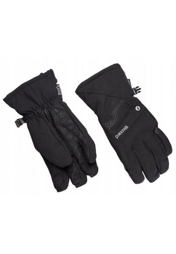Rękawice narciarskie z membraną BLIZZARD VIVA ALIGHT. Kolor: czarny. Sezon: zima. Sport: narciarstwo