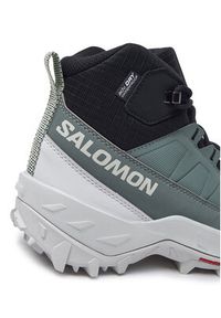 salomon - Salomon Trekkingi Crosstrak Waterproof L47570400 Zielony. Kolor: zielony. Materiał: materiał