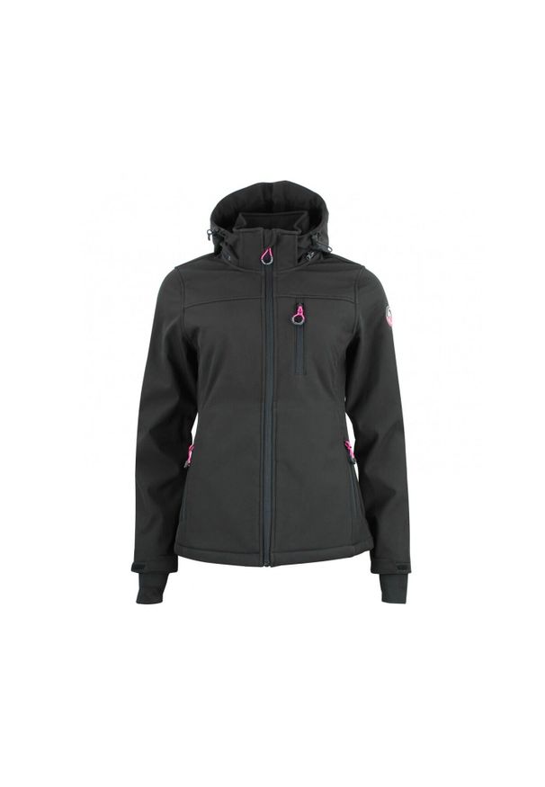 PEAK MOUNTAIN - Kurtka damska Peak Mountain Softshell Aclaudioffn. Typ kołnierza: kołnierzyk stójkowy. Kolor: czarny. Materiał: softshell. Sport: turystyka piesza