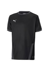 Koszulka dla dzieci Puma teamGOAL 23 Jersey. Kolor: czarny. Materiał: jersey, poliester