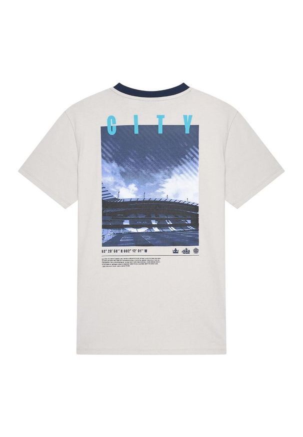 MANCHESTER CITY - Koszulka z logo Manchester City dla mężczyzn. Kolor: szary. Materiał: bawełna. Sport: piłka nożna