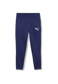 Spodnie piłkarskie dla dzieci Puma teamRISE Poly Training Pants Jr. Kolor: niebieski, wielokolorowy, biały. Materiał: poliester. Styl: sportowy