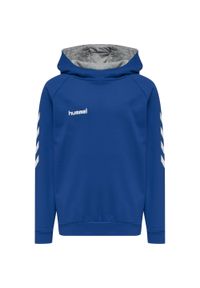 Bluza sportowa z kapturem dla dzieci Hummel Go Kids Cotton Hoodie. Typ kołnierza: kaptur. Kolor: biały, niebieski, wielokolorowy. Sport: joga i pilates