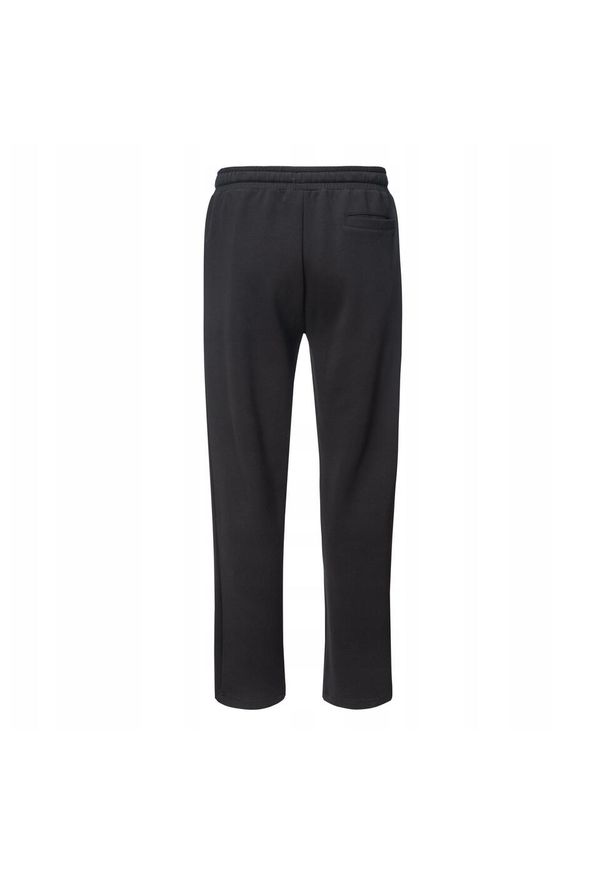 Iguana - Męskie Spodnie Do Biegania Ignoni. Kolor: czarny. Materiał: dresówka