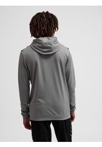 Bluza z kapturem sportowa Hummel Authentic Poly Zip Hoodie. Typ kołnierza: kaptur. Kolor: szary