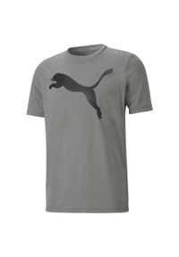 Puma - Koszulka treningowa męska PUMA Active Big Logo Tee. Kolor: szary, wielokolorowy, fioletowy. Długość rękawa: krótki rękaw. Długość: krótkie