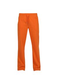 WE THE PEOPLE - Lea Orange 2xl Ladies T -KIRT > to translate in Polish. Kolor: pomarańczowy. Materiał: poliester, bawełna. Sport: fitness #1