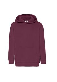 FRUIT OF THE LOOM - Bluza Z Kapturem Dla Dzieci. Typ kołnierza: kaptur. Kolor: czerwony, wielokolorowy, brązowy