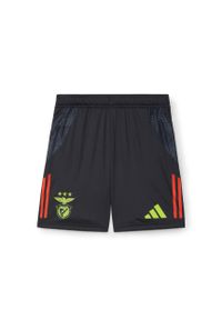 Adidas - Spodenki treningowe Benfica Lisbonne Tiro 2024/25. Kolor: szary. Materiał: materiał. Sport: piłka nożna #1
