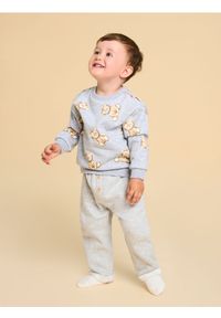 Sinsay - Ocieplane spodnie regular fit - szary. Kolor: szary #1