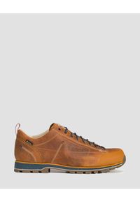 Buty trekkingowe męskie Dolomite Cinquantaquattro Low FG Evo GTX. Zapięcie: sznurówki. Kolor: brązowy. Materiał: skóra, zamsz, materiał. Szerokość cholewki: normalna. Sport: turystyka piesza