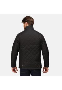 Regatta - Męska Kurtka Pikowana Ocieplana Tyler. Kolor: czarny. Sport: turystyka piesza #2