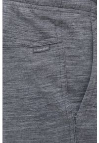 Icebreaker spodnie dresowe męskie kolor szary gładkie. Kolor: szary. Materiał: dresówka. Wzór: gładki #3