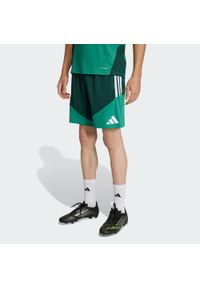 Adidas - Szorty treningowe Algeria 26. Kolor: zielony. Technologia: ClimaCool (Adidas). Sport: piłka nożna #1