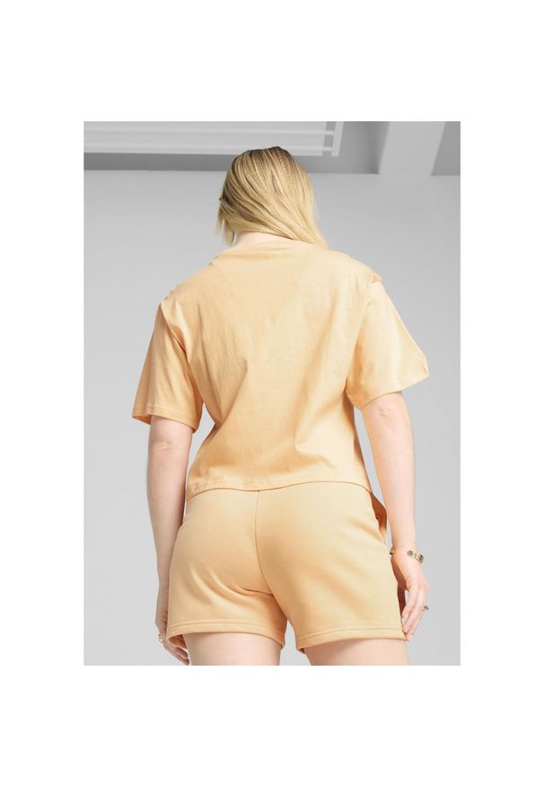Puma - Damska luźna koszulka z logo NO.1 ESS Cropped PUMA Almost Apricot Orange. Kolor: żółty, pomarańczowy, wielokolorowy. Materiał: jeans. Wzór: nadruk