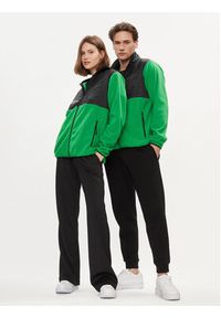 Ellesse Polar Solarolo SGP16252 Zielony Regular Fit. Kolor: zielony. Materiał: syntetyk
