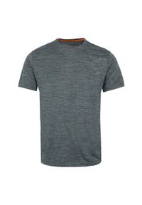 Regatta - T-shirt Męski Melanżowy Fingal Edition. Kolor: szary, niebieski, wielokolorowy. Wzór: melanż