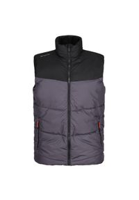 Regatta - Ocieplana Męska Ocieplana. Kolor: wielokolorowy, szary, czarny. Sport: turystyka piesza #1