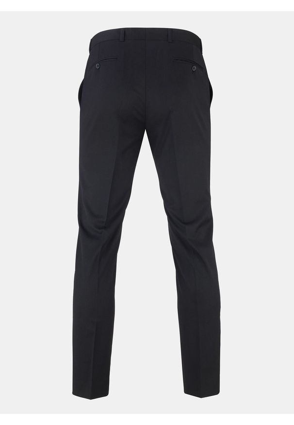 Pako Lorente - Spodnie męskie garniturowe FENREI PLM-6G-195-C. Materiał: poliester, wiskoza. Wzór: gładki. Styl: elegancki