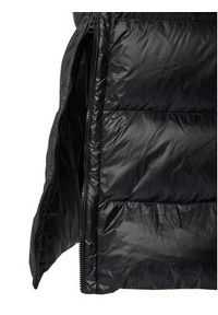 Blauer Płaszcz zimowy 25WBLDK03161 Czarny Regular Fit. Kolor: czarny. Materiał: syntetyk. Sezon: zima #4