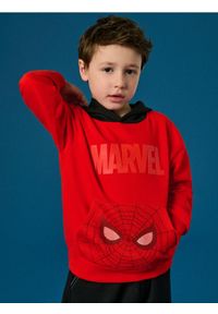 Sinsay - Bluza SPIDERMAN - czerwony. Typ kołnierza: kaptur. Kolor: czerwony. Długość rękawa: długi rękaw. Długość: długie. Wzór: motyw z bajki