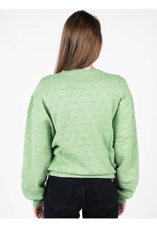 Silvian Heach Sweter | PGA22142MA | Kobieta | Zielony. Kolor: zielony. Materiał: nylon, wiskoza, poliester. Długość: krótkie. Wzór: aplikacja