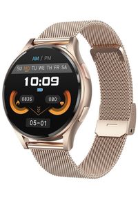 Zegarek Hagen Zegarek męski Hagen HB26.110.1410 różowe złoto. Kolor: złoty, wielokolorowy, różowy #1