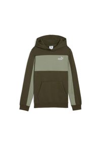 Bluza z kapturem dla dzieci Puma Essentials Block Small Logo. Typ kołnierza: kaptur. Kolor: zielony. Materiał: polar #1
