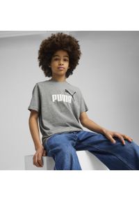 Puma - Młodzieżowa koszulka Essentials Colour z logo No.1 PUMA Medium Gray Heather. Kolor: szary. Materiał: guma. Wzór: nadruk. Sport: joga i pilates