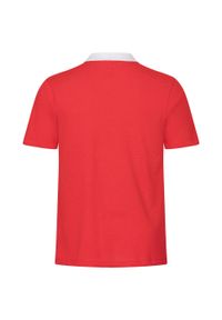 Koszulka sportowa męska Nike Drifit Park 20. Kolor: czerwony, wielokolorowy, biały. Długość rękawa: krótki rękaw. Długość: krótkie. Sport: piłka nożna #2