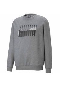 Bluza sportowa męska Puma Power Logo. Kolor: szary