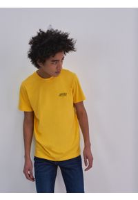Big-Star - Koszulka męska z nadrukiem żółta Omaran 201. Kolor: żółty. Materiał: bawełna. Wzór: nadruk