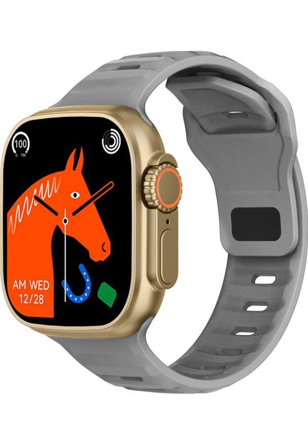 Smartwatch Hagen HC45.111.562.562-SET Szary. Rodzaj zegarka: smartwatch. Kolor: szary