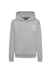 Bluza z kapturem dla dzieci Hummel Proud. Typ kołnierza: kaptur. Kolor: szary. Materiał: bawełna