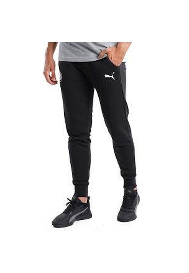Spodnie Puma Team Goal 23 Casuals. Kolor: czarny. Sport: piłka nożna