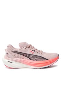 Puma Buty do biegania Deviate Nitro 3 Wns 310114 01 Różowy. Kolor: różowy. Materiał: materiał #1