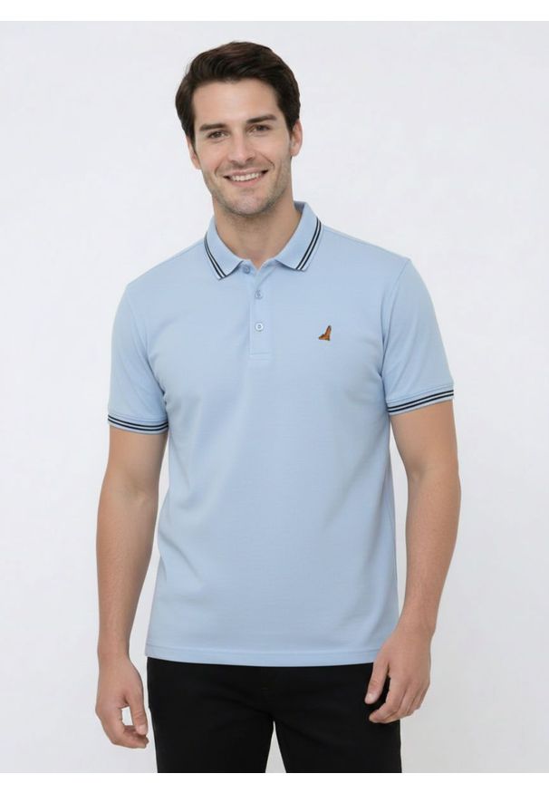 Koszulka Polo - Błękitna - Brave Soul. Okazja: na co dzień. Typ kołnierza: polo. Kolor: niebieski. Materiał: poliester, bawełna. Sezon: lato. Styl: casual