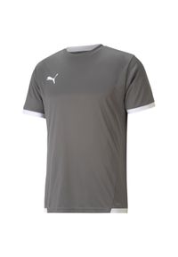 Koszulka Puma TeamLiga. Kolor: szary, biały, wielokolorowy. Materiał: jersey. Sport: piłka nożna #1