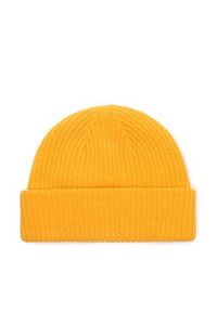 The North Face Czapka Salty Lined BeanieNF0A3FJW56P1 Żółty. Kolor: żółty. Materiał: materiał