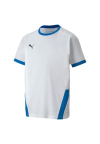 Koszulka dla dzieci Puma teamGOAL 23 Jersey. Kolor: biały, wielokolorowy, niebieski. Materiał: poliester